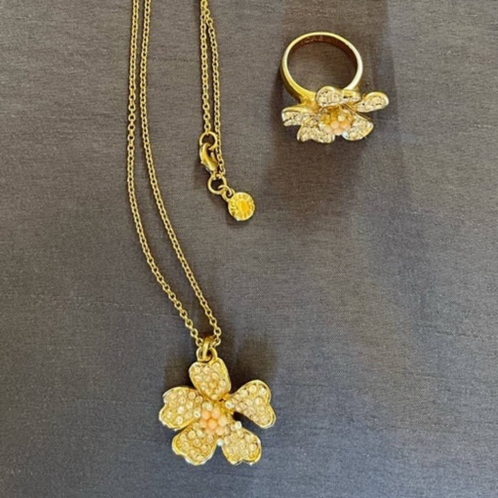 J.Crew Ring & Pendant Set